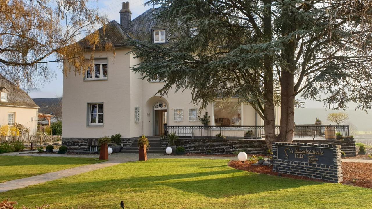 Apartamento "Reh"-Sidenz Moselschleife Leiwen Exterior foto